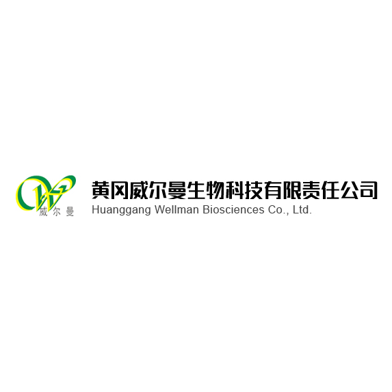 黃岡威爾曼